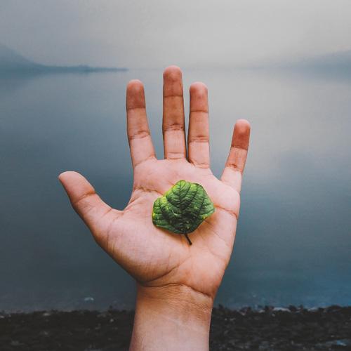 Reflexology Massage: More than a Feel-Good Treatment - Breo® Official Website